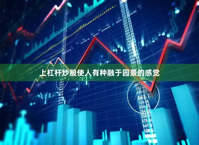 上杠杆炒股使人有种融于园景的感觉
