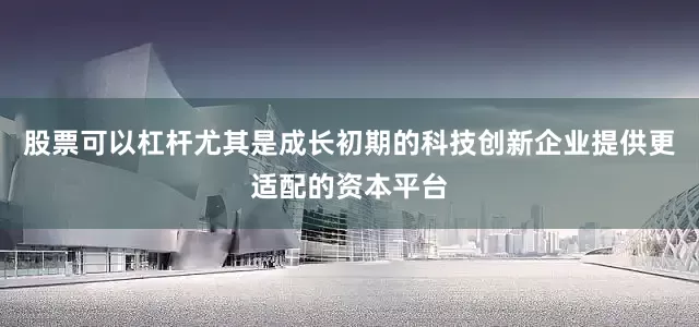 股票可以杠杆尤其是成长初期的科技创新企业提供更适配的资本平台